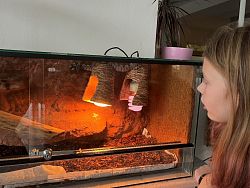 Třída 6. B pomohla opuštěným zvířatům